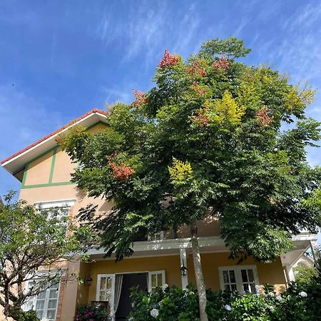 Hotel Bich Dao Boutique - Dalat Exteriér fotografie