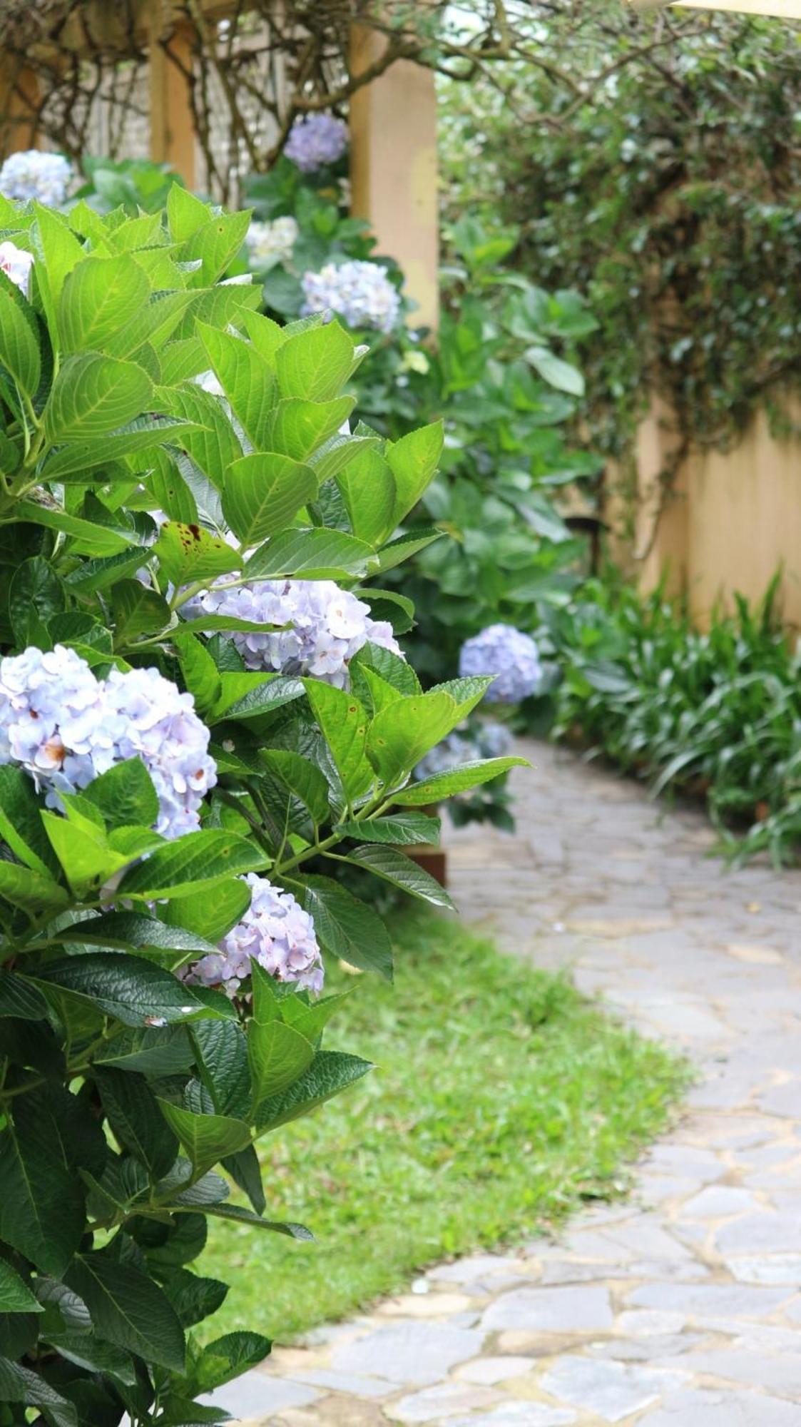 Hotel Bich Dao Boutique - Dalat Exteriér fotografie