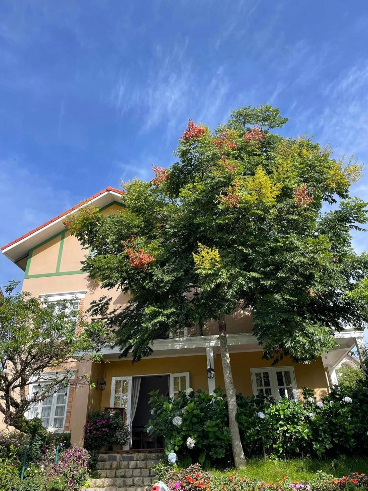 Hotel Bich Dao Boutique - Dalat Exteriér fotografie