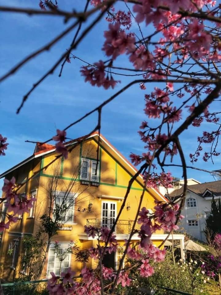 Hotel Bich Dao Boutique - Dalat Exteriér fotografie