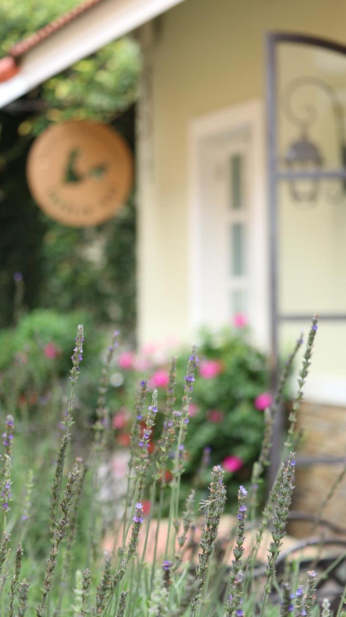 Hotel Bich Dao Boutique - Dalat Exteriér fotografie