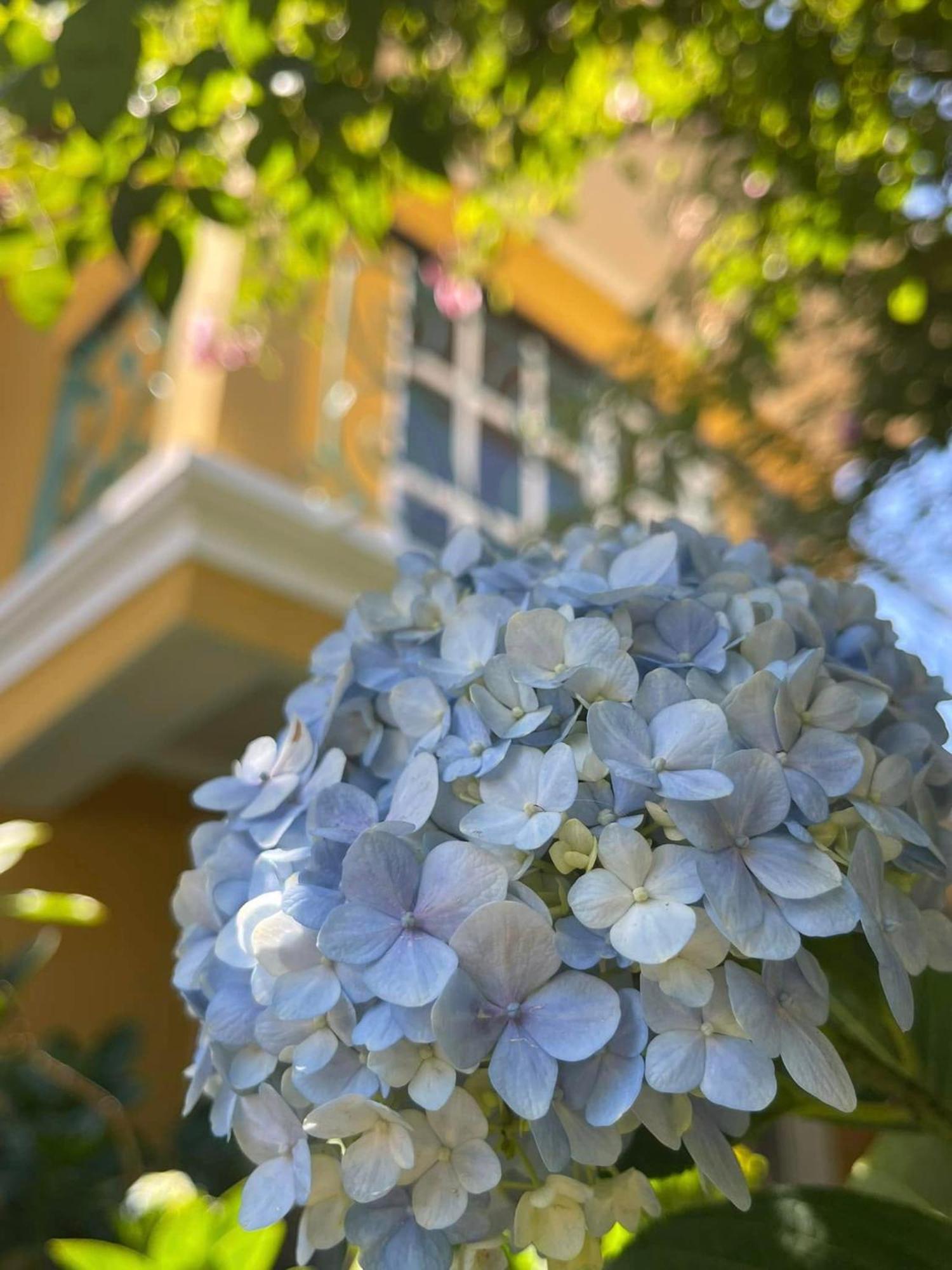 Hotel Bich Dao Boutique - Dalat Exteriér fotografie